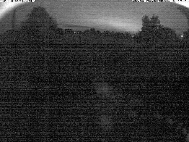 Camera Live Image