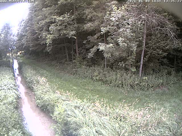 Camera Live Image