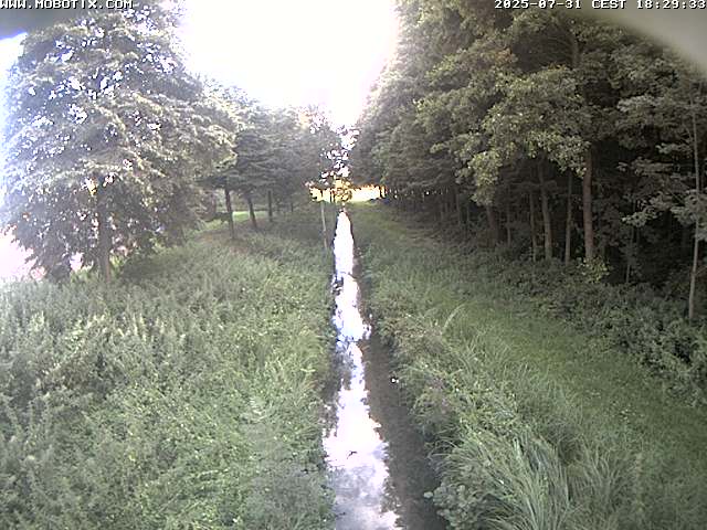 Camera Live Image