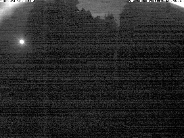 Camera Live Image