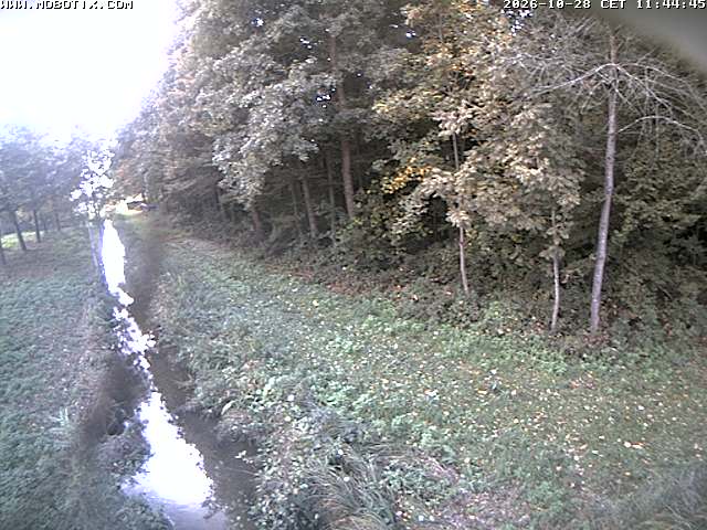 Camera Live Image