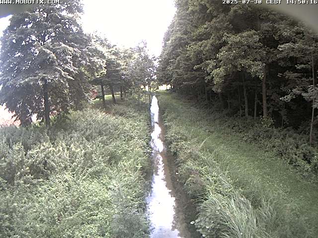 Camera Live Image