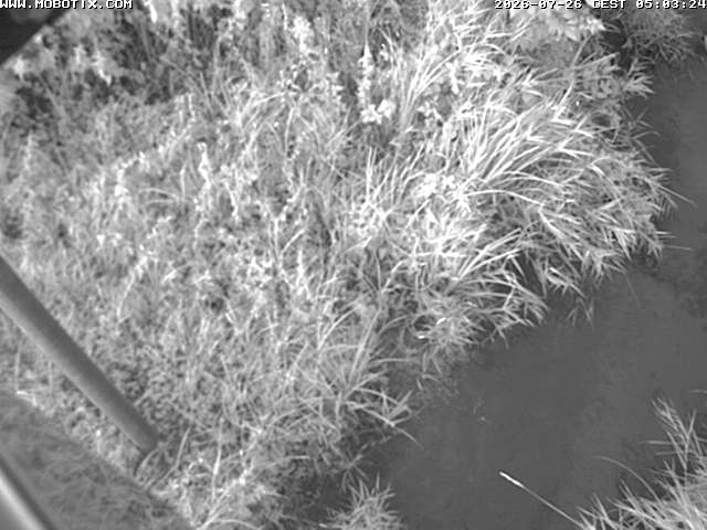 Camera Live Image